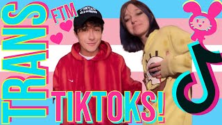 🏳️‍⚧️ Trans TikToks! 🏳️‍⚧️ FTM Edition | #tiktokviral #transrightsarehumanrights #FTM #pride