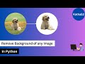 Remove background from any image using python in 3 lines | Python for beginners