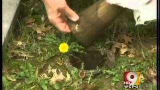 Thieves stealing from cemeteries