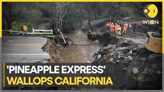 Storm breaches California's river levee | WION Climate Tracker