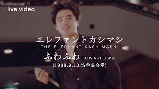 THE ELEPHANT KASHIMASHI  \