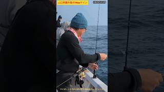 【オフショア】山口県蓋井島沖70mラインで釣れた魚（2023.12/29）