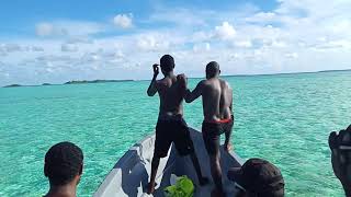 Nuguria (fead) wildlife island, Autonomous region of Bougainville