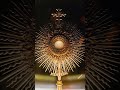 O Sacrament Most Holy Eucharistic Adoration Hymn in 4k