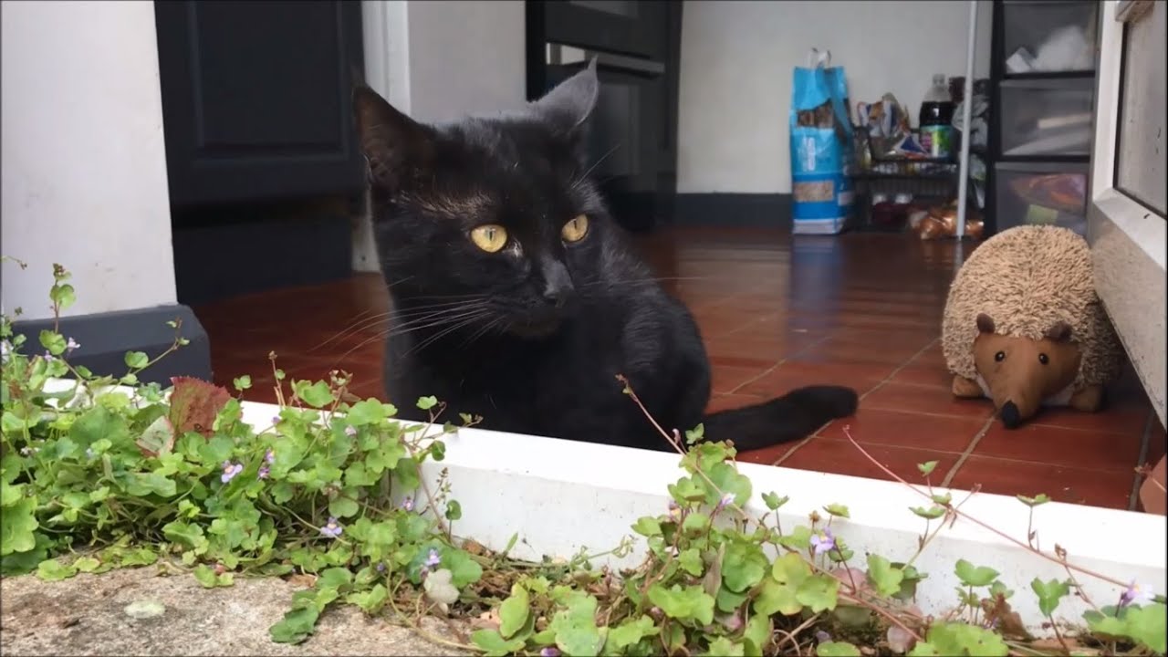 One Small Step Day 2 Youtube