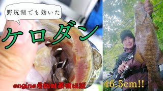 【野尻湖】野尻湖でケロダンでフォトコンエントリーじゃ！の巻