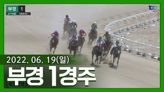 (부산)'22.6.19.1R 발은 빠른데 걸음 짧은 핼러윈파티, 마하메루 시원한 외곽 추입!