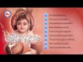 SREE NANDANAM | Hindu Devotional Album Malayalam |  Sree Krishna Audio Jukebox