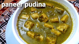 paneer pudina recipe in hindi |paneer recipes #paneer #mintpaneer #pudina #mint #paneerrecipes