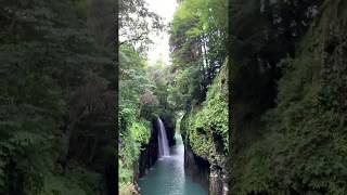 大人気観光地！高千穂峡✨日本の風景✨【柴犬コロと猫のあんこ】旅行　絶景　sightseeing