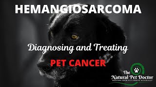 Natural Dog Remedies for Treating Hemangiosarcoma with The Natural Pet Doctor