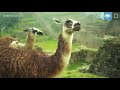 Machu Picchu: Exceptional Access | Peru | Lindblad Expeditions-National Geographic