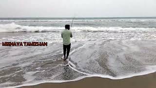 பெரிய பாறை மீன் பிடிக்கும் காட்சி/big gt fish caught in chennai/meenava tamizhan/