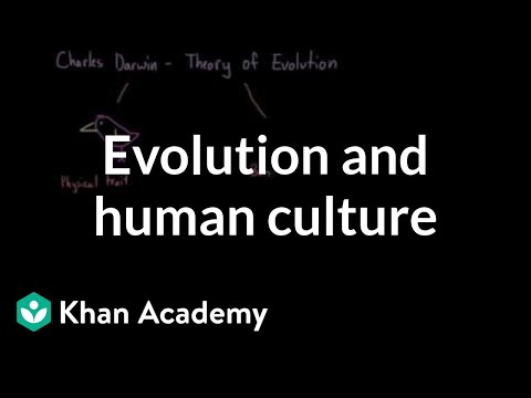 What is cultural evolutionary theory?