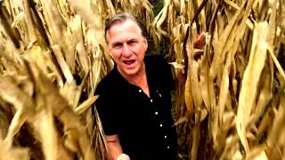 Ellis Paul: Scarecrow in a Corn Maze (Official Video)