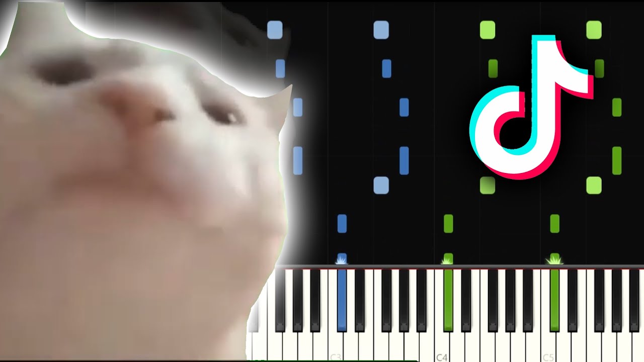 Cat Vibing To Ievan Polkka Meme Piano Tutorial Chords Chordify Cat Vibing To Ievan Polkka Meme Piano Tutorial Chords Chordify