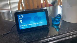 How to Connect Devices to Alexa (Echo Show 5 & Blink Camera)