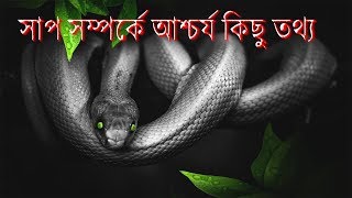 সাপ সম্পর্কে আশ্চর্য কিছু তথ্য || Facts About Snakes in bengali || Amazing information about snakes