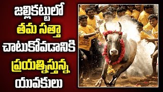 Jallikattu 2019 Starts At Chittoor | Huge people Attended | జల్లికట్టు | Bharat Today