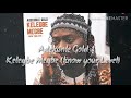 Adekunle Gold - Kelegbe Megbe (know your Level) - Lyrics video