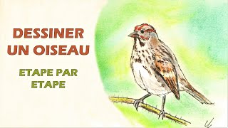 Comment dessiner un oiseau sur une branche