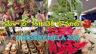 Nursery Mela 2021- Necklace road,  Hyderabad, Part-4 | నర్సరీ మేళా | Prema's Garden