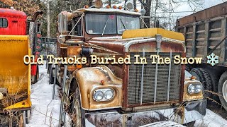 I Found Some Old Trucks Buried In The Snow!