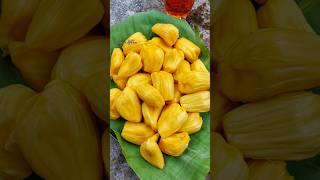 കൊതിയൂറും നാടൻ വരിക്ക ചക്ക ഇഷ്ടമാണോ 😋😋.. #jackfruit #chakkaappam #chakka #fruit #kerala #malayalam