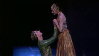 Nikiya \u0026 Solor 1st. Act PDD - La Bayadere - POB (Guerin - Hilaire)