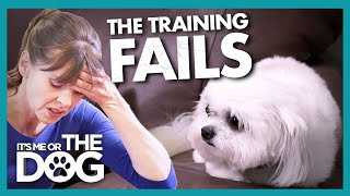 Training Fails as Dog's Trust 'Cannot be Salvaged' | It's Me or The Dog