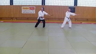 Hanbo Kata Shodan Syncron   ---KEIN Lehrvideo---