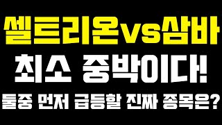 [셀트리온 주가]셀트리온vs삼성바이오로직스!최소 중박이다! 둘중 먼저 급등할 진짜 종목은?!