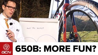 Smaller Wheels, More Fun? 650B VS 700C