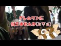 2015播州秋祭り宵宮３