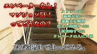 エレベーターなし5Fマンションの階段上ります！