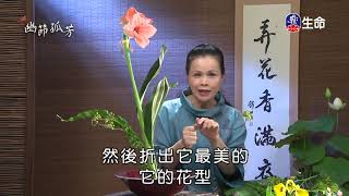 佛心花海_幽節孤芳_李麗淑老師_(lifetv_20200930_11:00)