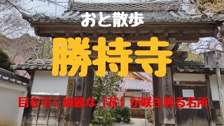 「花の寺」勝持寺【おと散歩 京都編】