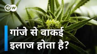 नशा ही नहीं, इलाज भी गांजा [Medicinal Cannabis]