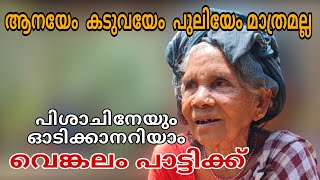 പിശാചിനെ പേടിയില്ല പിന്നെയാണ് കടുവ |  Life of a Tribal Grandma | Vengalam Paati @95 in Ernakulam dst