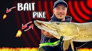 EXAMINE NEW FISHING METHOD - Catching MegaPike LIVE | Team Galant