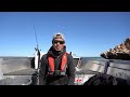 stacer rampage 429 boating review the fwl tinny