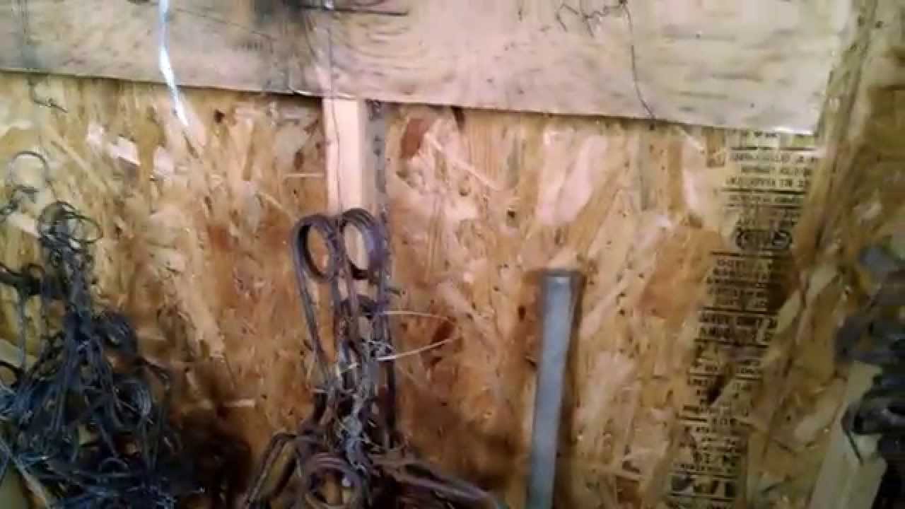Our Trapping Shack Set Up Youtube