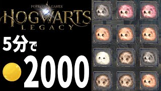 【ホグワーツレガシー】超金策！5分で2000以上稼げる方法が確立しました【HOGWARTS LEGACY】PS5 攻略 レベル上げ チャレンジ