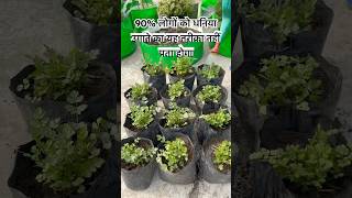 90% लोगों को धनिया उगाने का यह तरीका नहीं पता होगा #gardening #plants #gardeningtips #Coriander