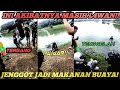 LOMPATAN BABANG VIRAL LANGSUNG JENGGOT ILANG DI DANAU!!!