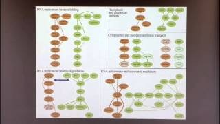Introduction to Biological Network Analysis IV: Network Alignment and Querying