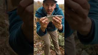 From Hike to Hook - Cinematic Brook Trout Fishing #shorts