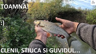 🎣🌤️ Clenii, stiuca si ... guvidul pe Timiș! Pescuit cu naluci, toamna 🌤️🎣