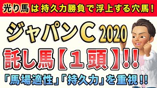 ジャパンカップ2020【託し馬1頭】【光り馬1頭】公開！ドリームマッチのここは「3強以外の実力馬」と「あの穴馬」から勝負します。