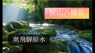 桜山八幡宮　岐阜県　高山　タンナカ高原　飛騨　奥飛騨原水　ラーメン　岐阜県高山観光旅行　パワースポット　開運　健康　スーパーフード